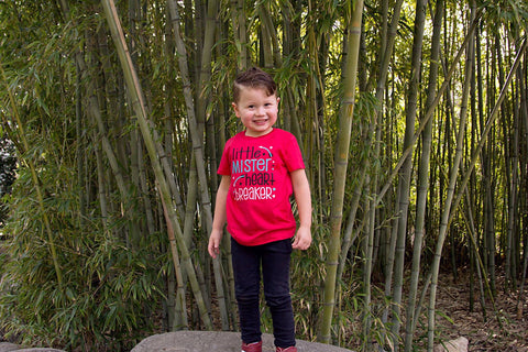 Little Mister Heart Breaker -  Valentine's Day Embroidered Shirt - Girls Valentine's  Shirt - Boys Valentine's Shirt - February 14